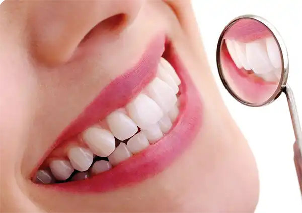 Trang chủ 54 Tham my rang su